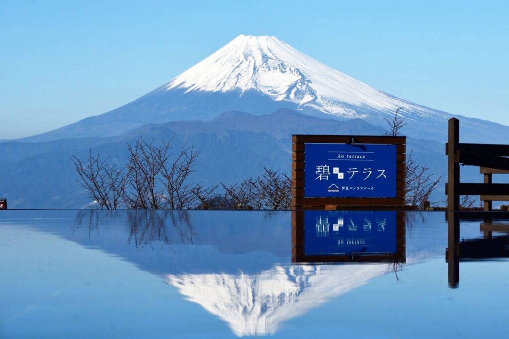 碧テラス