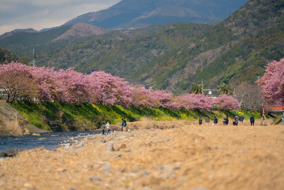 河原から見た景色