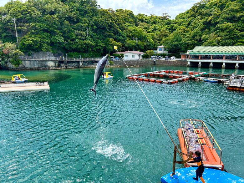 アメージング･シート