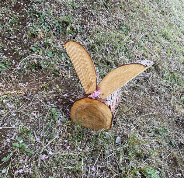 桜見晴台にある木で作られたうさぎ